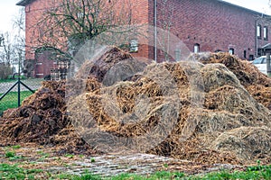 A farm there is a steaming cow dung heap