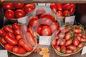 Farm tomatoes in a basket lie in the window of the farmer`s market. The latest hybrid varieties of vegetables