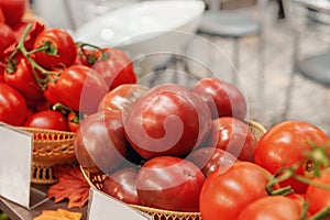 Farm tomatoes in a basket lie in the window of the farmer`s market. The latest hybrid varieties of vegetables