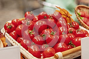 Farm tomatoes in a basket lie in the window of the farmer`s market. The latest hybrid varieties of vegetables