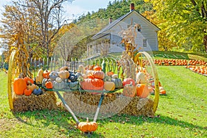 farm tool as decoration with pumpkins and gourds to attract Fall tourists and buyers
