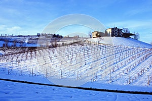 Farm on the top of the wineyard