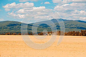 Farm tractor drives in field