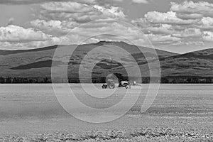 Farm tractor drives in field