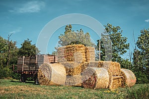 Farm tractor made of haystacks