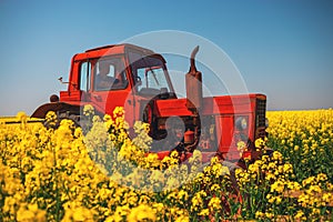 Farm tractor in a rapeseed field and blue sky, beautiful spring day