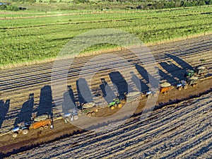 Farm Tractors working on sugar cane harvest plantation aerial view