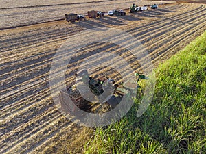 Farm Tractors working on sugar cane harvest plantation aerial view