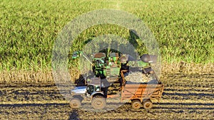 Farm Tractors working on sugar cane harvest plantation aerial view