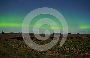 Farm under the southern night sky