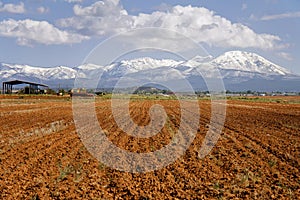 Farm in Utah photo