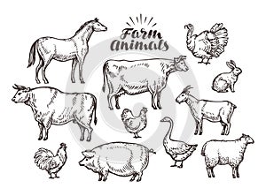 Farm, vector sketch. Collection animals such as horse, cow, bull, sheep, pig, rooster, chicken, hen, goose, rabbit