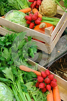 Farm vegetable market