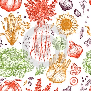 Farm vegetables seamless pattern. Handsketched vintage vegetables. Line art illustration. Vector illustration