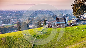 Farm on the verdant hills of East San Francisco Bay Area; Sheep and goats visible on the green pasture; residential neighborhoods