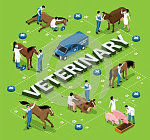 Farm Veterinary Isometric Flowchart