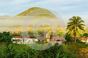 Farm in Vinales, Cuban countryside