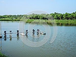Farm water aeration system for Outdoor fish or shrimp farming pond.