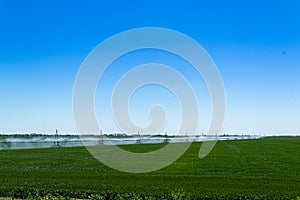 Farm water irrigation system sprays water on the green field