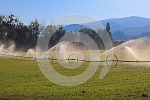 Farm water irrigation system watering a field, British-Columbia, Canada