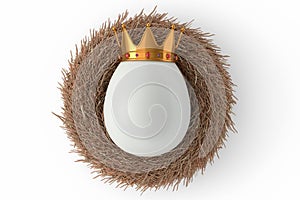 Farm white egg with gold royal king crown in bird nest on blue background