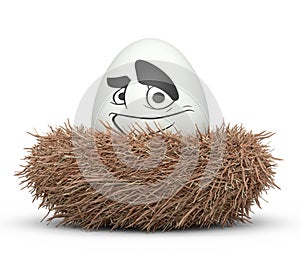 Farm white painted egg with expressions and funny face in bird nest