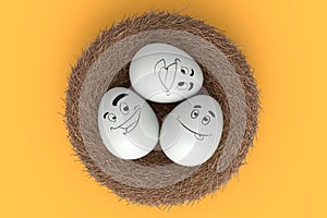 Farm white painted egg with expressions and funny face in bird nest