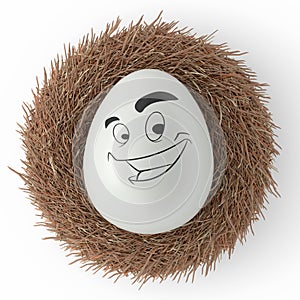 Farm white painted egg with expressions and funny face in bird nest