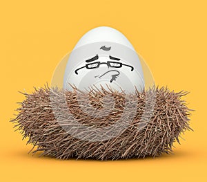 Farm white painted egg with expressions and funny face in bird nest