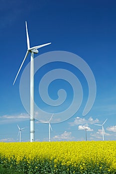 Farm of windturbines close to field