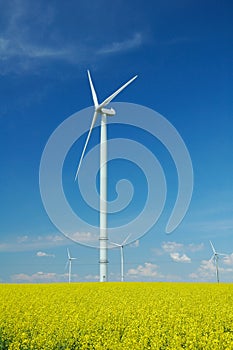 Farm of windturbines close to field