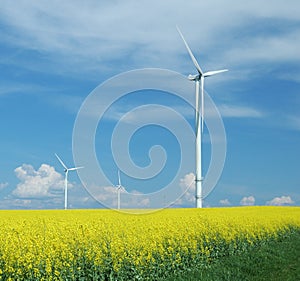 Farm of windturbines close to field