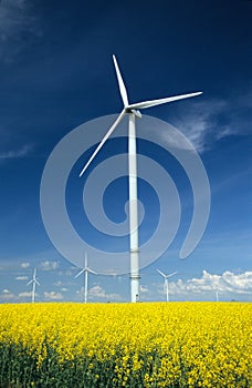 Farm of windturbines close to field