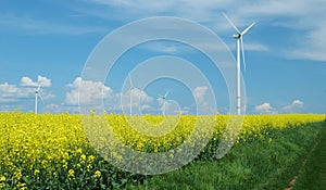 Farm of windturbines close to field