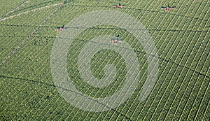 Farm Work Aerial Photo