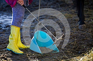 Farm worker cleaning horse feces