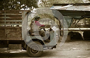 A farm worker is driving an old truck passing the Buffalo barn