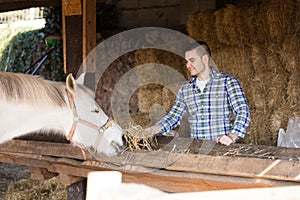 Farm worker feeding horses