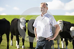 Farm Worker With Herd Of Cows