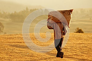 Farm Worker in Peru