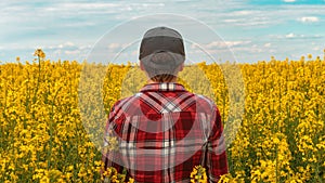 Farm worker wearing red plaid shirt and trucker`s hat standing in cultivated rapeseed field in bloom and looking over crops, rear