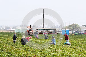 Farm Workers