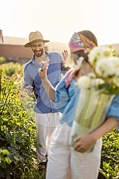 Farm workers pick up dahlia flowers at rural farm outdoors