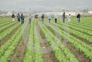 Trabajadores sobre el 