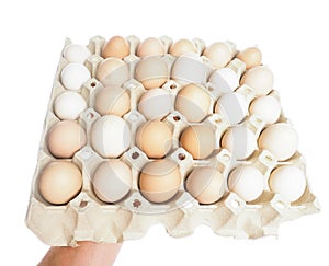 Farmed brown and white eggs