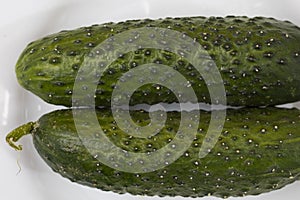 Farmed cucumbers. Healthy vegetables. Proper nutrition. Selective focus