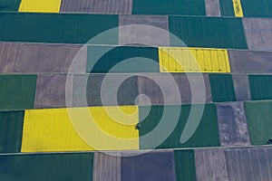 Farmed fields aerial view photo
