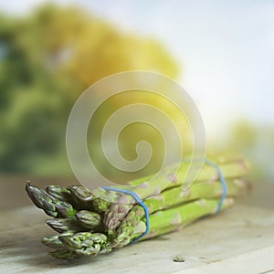 Farmed Organic Asparagus