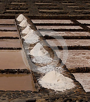 Farmed Sea Salt at the Museum of Salt Caleta Fuerteventura