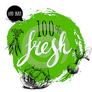 Farmer 100% fresh veggies design template. Green rough circle with hand painted letters. Engraving sketch style vegetables. Carrot